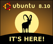 Ubuntu 8.10 disponible
